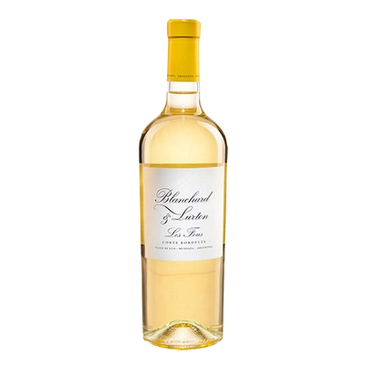 BLANCHARD & LURTON SAUVIGNON BLANC LES FOUS VALLE DE UCO 2022 750ML