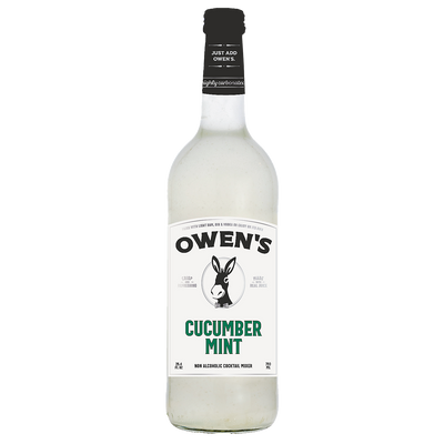 OWEN'S CRAFT MIXERS CUCUMBER MINT 250ML