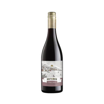 ANTERRA PINOT NOIR TERRE SICILIANE 750ML