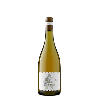 ANTIQUUM FARM PINOT GRIS DAISY WILLAMETTE VALLEY 2023 750ML